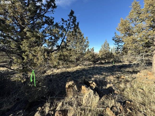 Bonanza, OR 97623,Canvasback DR #5