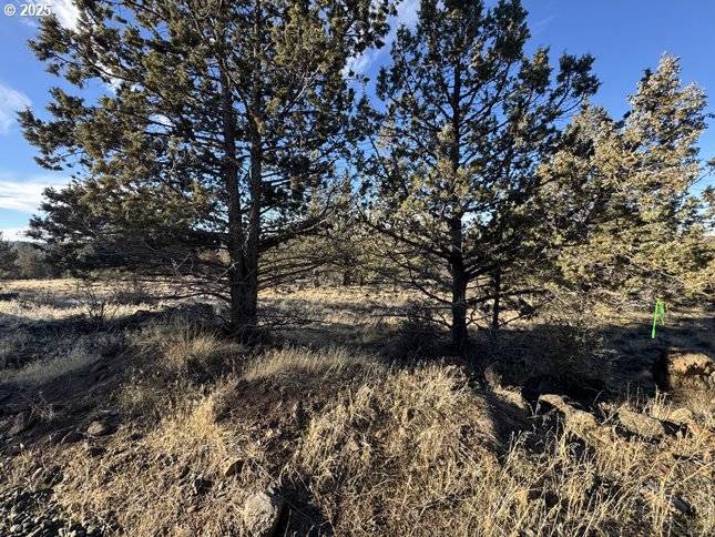 Canvasback DR #5, Bonanza, OR 97623