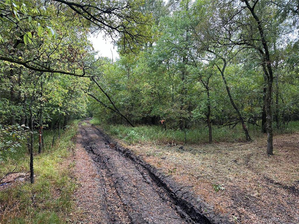 Wolfe City, TX 75496,TBD County Road 4727