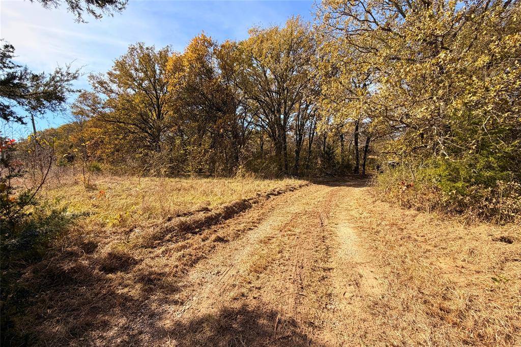 Kemp, TX 75143,18050 Terrace Drive