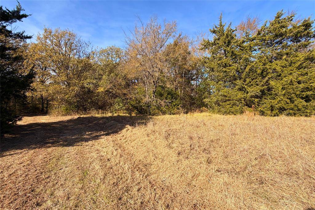 Kemp, TX 75143,18050 Terrace Drive