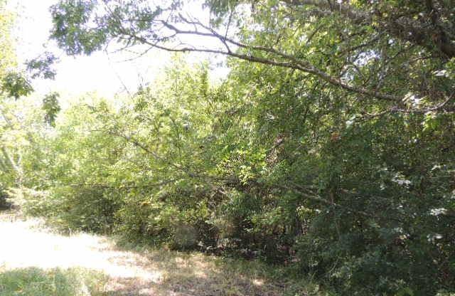 Greenville, TX 75401,TBD County Road 3303