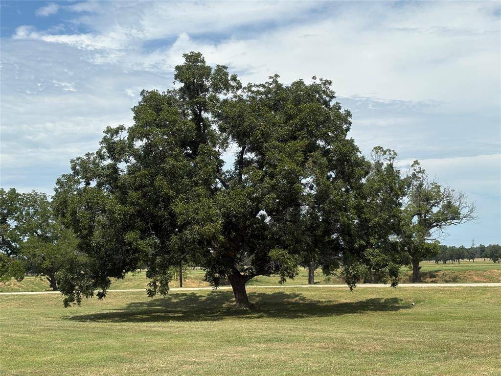 Weatherford, TX 76087,1078 River Ranch Lane