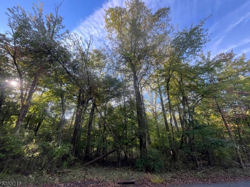 Warren Twp., NJ 07059,27 Elm Ave