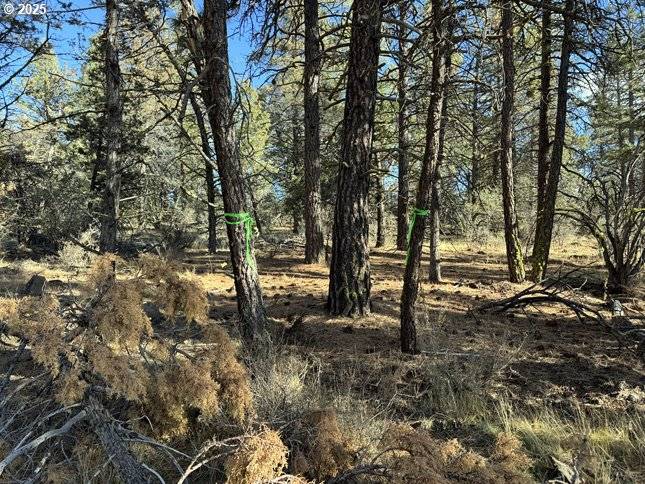 Bonanza, OR 97623,Bunting Drive #31