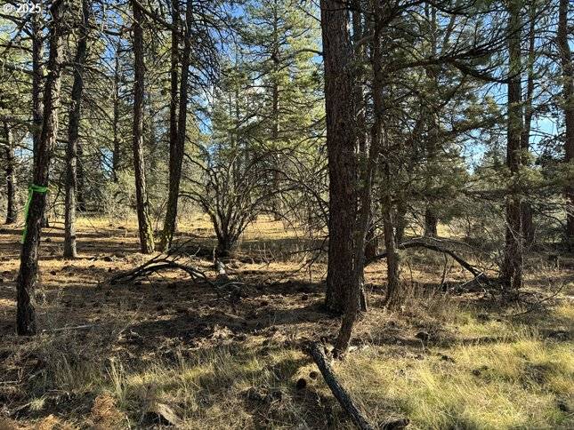 Bonanza, OR 97623,Bunting Drive #31