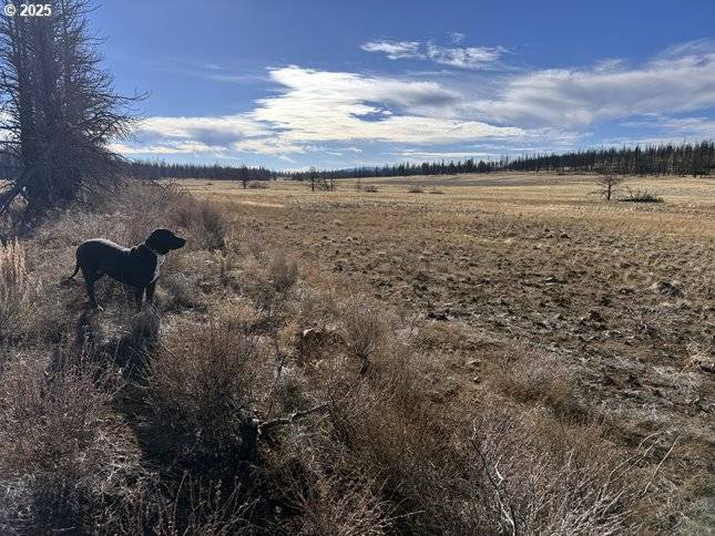 Bly, OR 97622,Yellow Pine RD #13