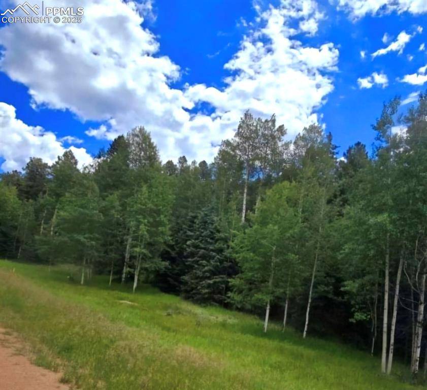 Florissant, CO 80816,662 Spring Valley LN