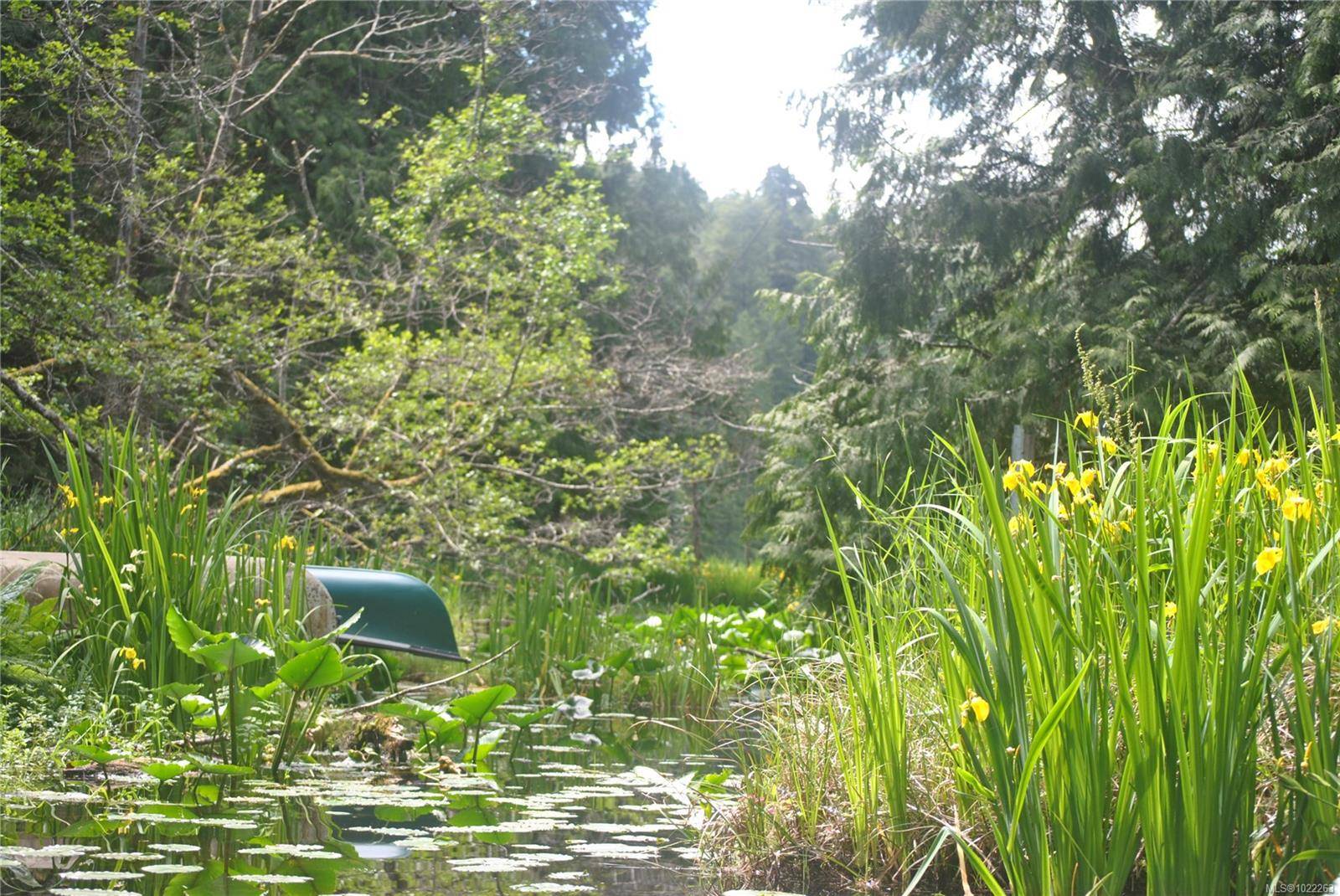 Denman Island, BC V0R 1T0,8875 Owl Cres