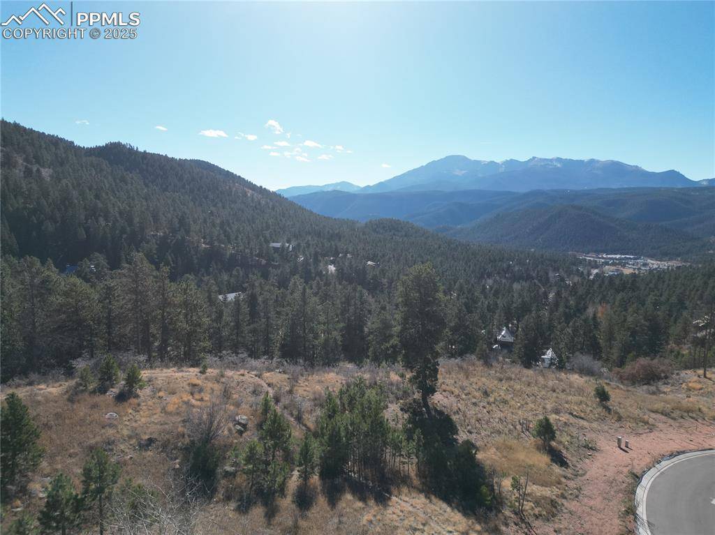 Woodland Park, CO 80863,1350 Blue Haven PL