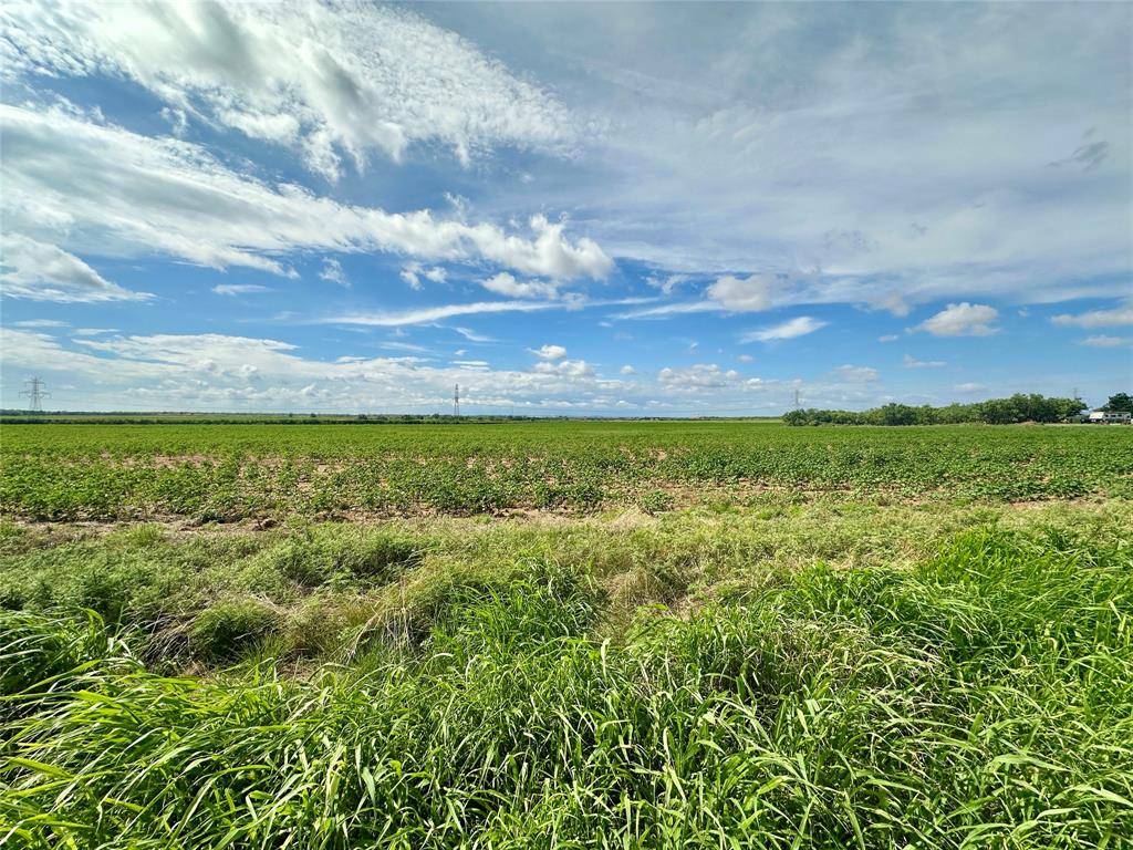 Merkel, TX 79536,TBD County Road 409