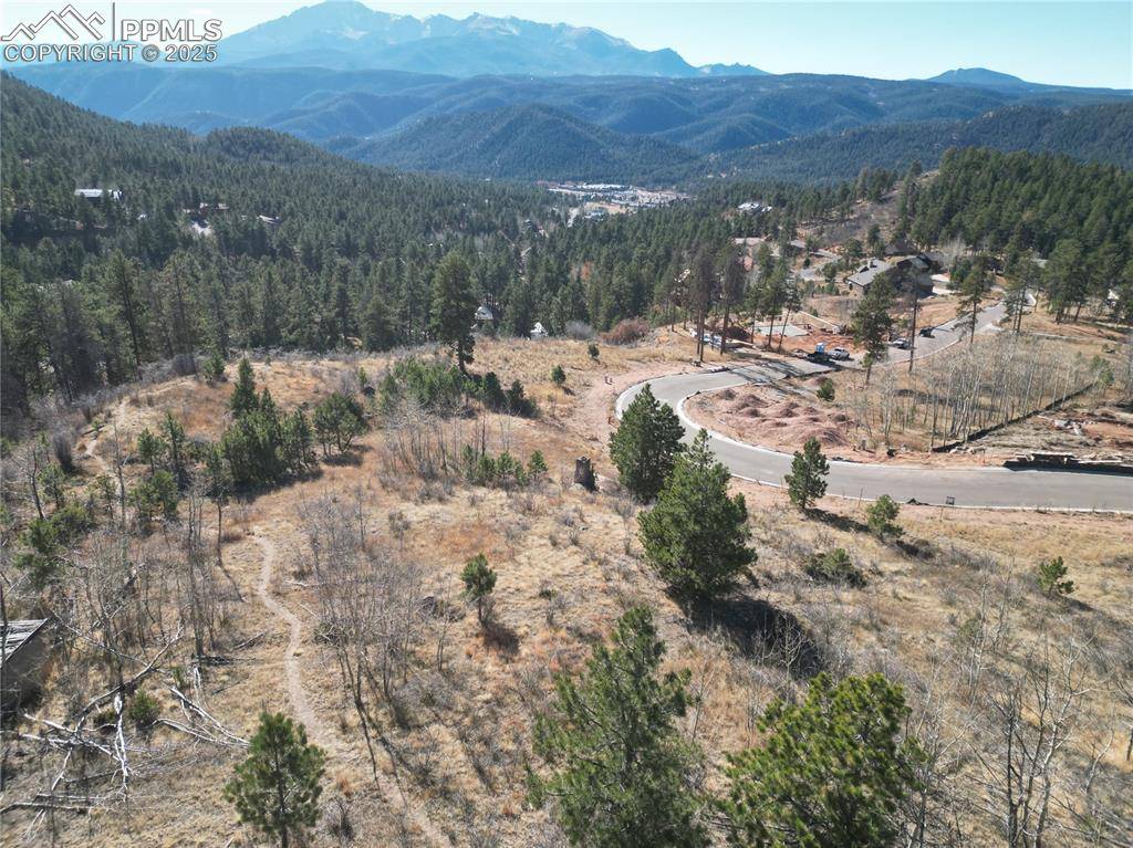 Woodland Park, CO 80863,1365 Blue Haven PL