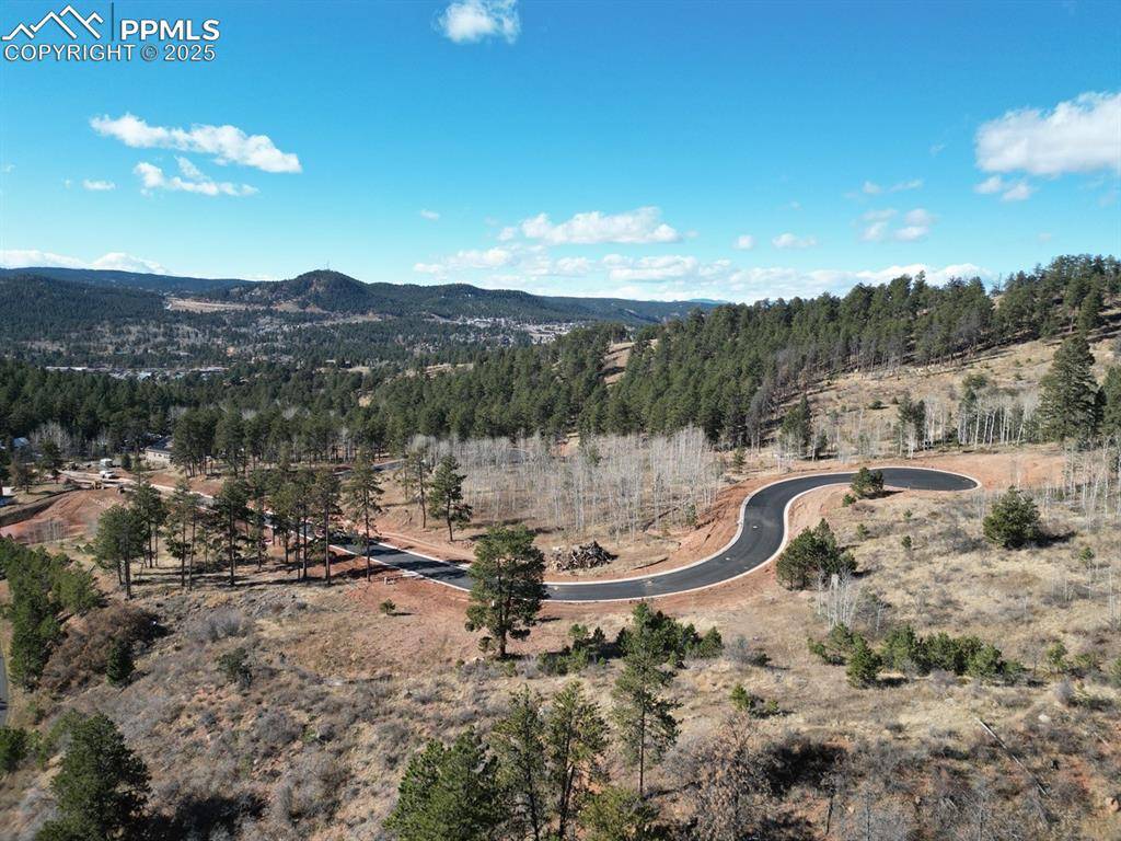 Woodland Park, CO 80863,1365 Blue Haven PL