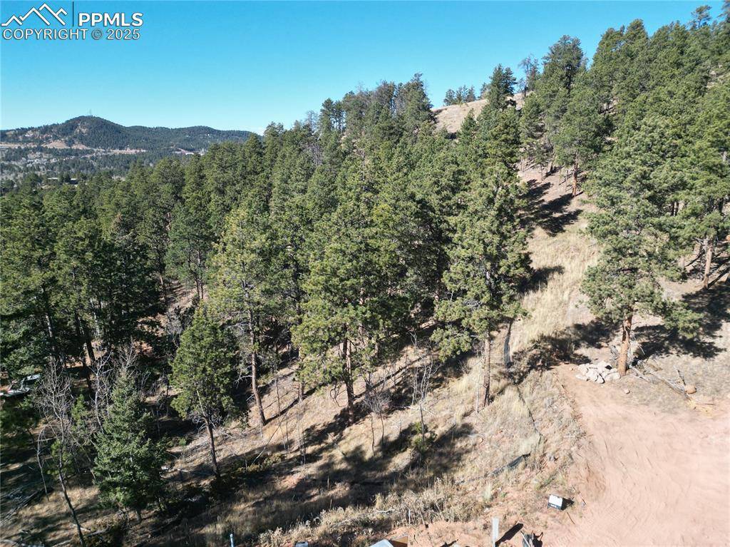 1420 Red Haven PL, Woodland Park, CO 80863