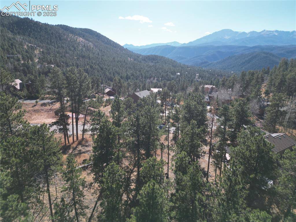 Woodland Park, CO 80863,1300 Blue Haven PL