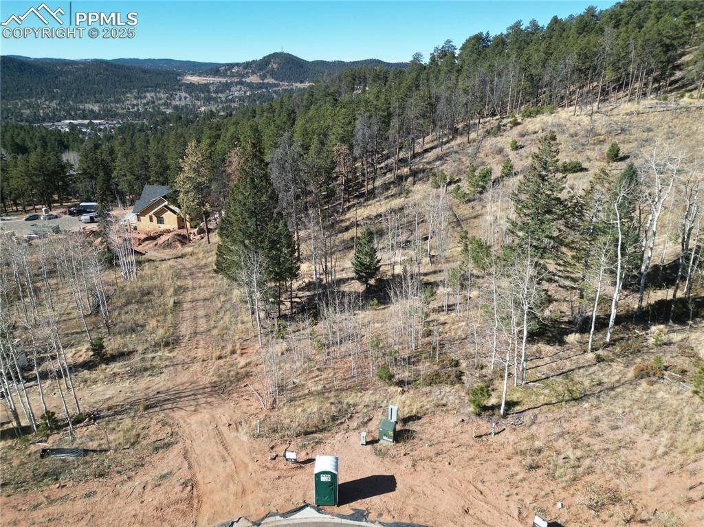 Woodland Park, CO 80863,1360 Blue Haven PL