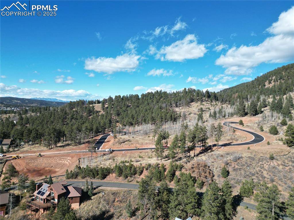 Woodland Park, CO 80863,1360 Blue Haven PL