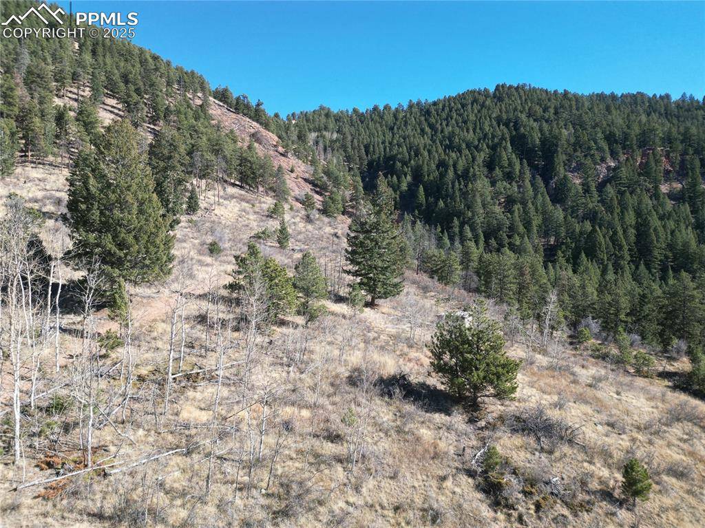 1375 Blue Haven PL, Woodland Park, CO 80863