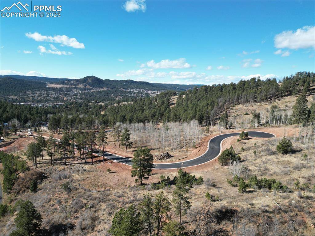 1375 Blue Haven PL, Woodland Park, CO 80863