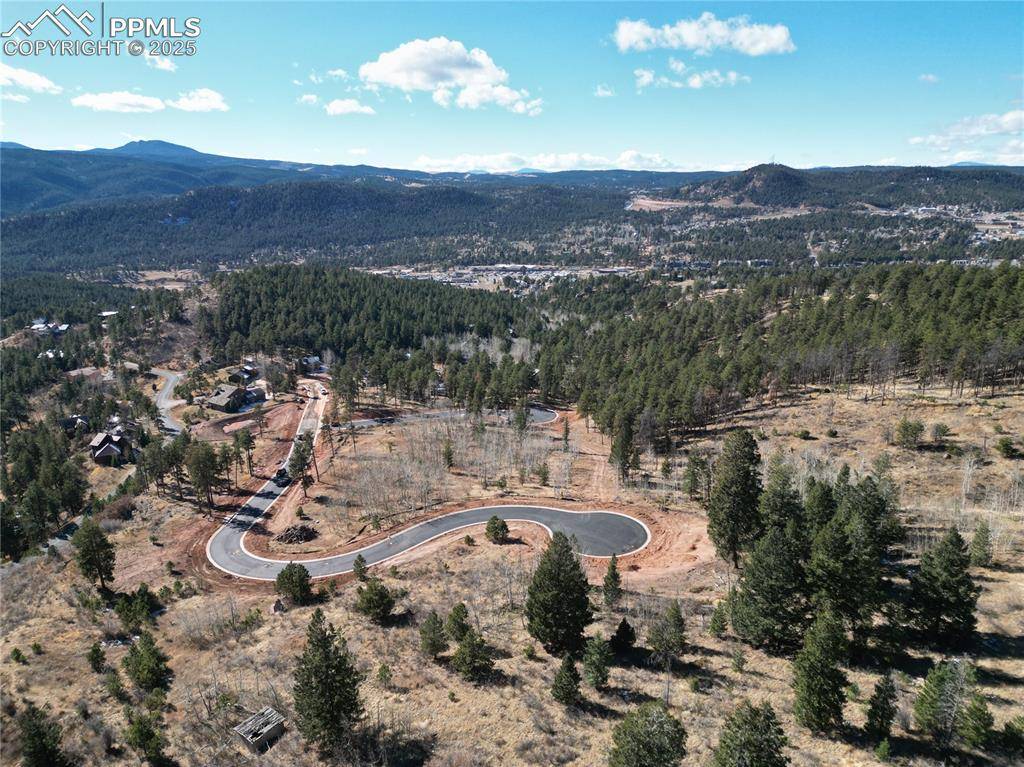 1375 Blue Haven PL, Woodland Park, CO 80863