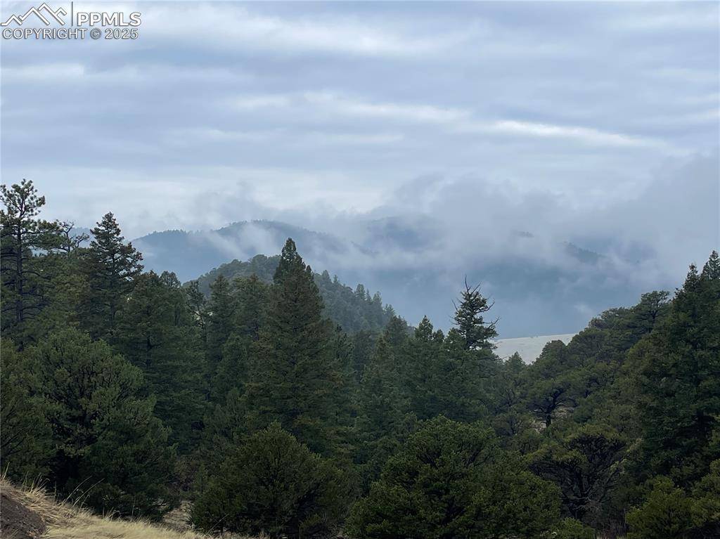 Cotopaxi, CO 81223,752 County Road 16