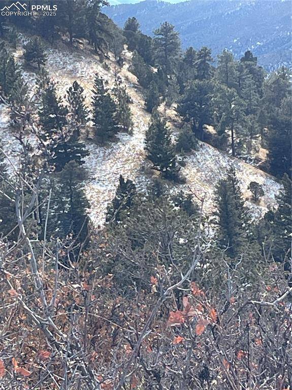 Cotopaxi, CO 81223,752 County Road 16