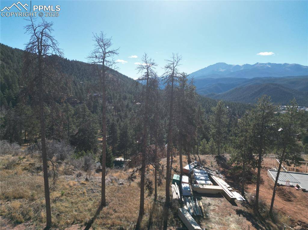 Woodland Park, CO 80863,1430 Red Haven PL