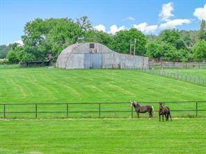 Wills Point, TX 75169,1100 Vz County Road 3419