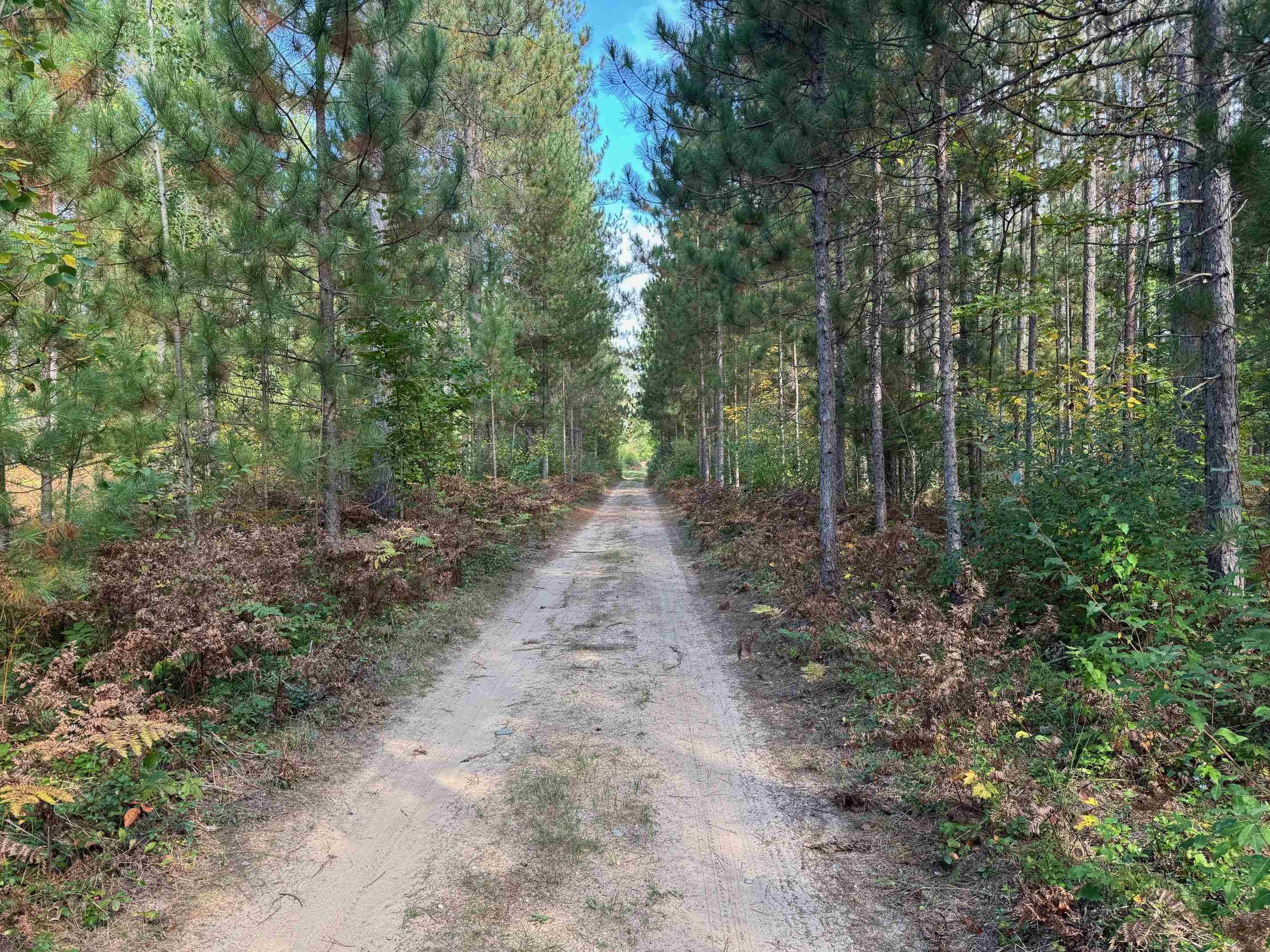 Lake City, MI 49651,1667 E Walker RD