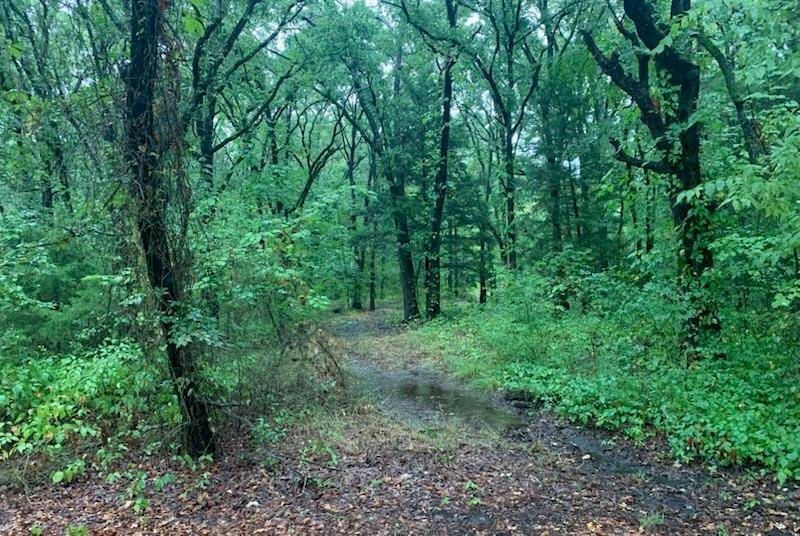 Quinlan, TX 75474,9744 Shady Lane