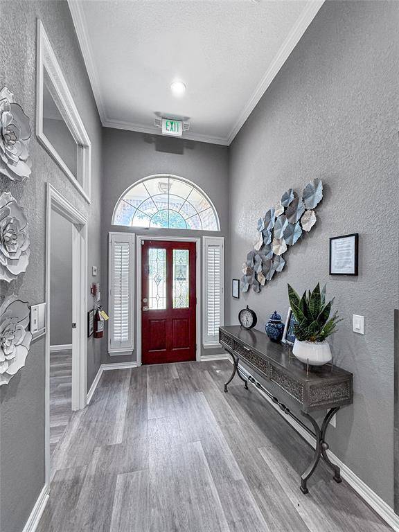 Frisco, TX 75035,6974 Waverly Lane