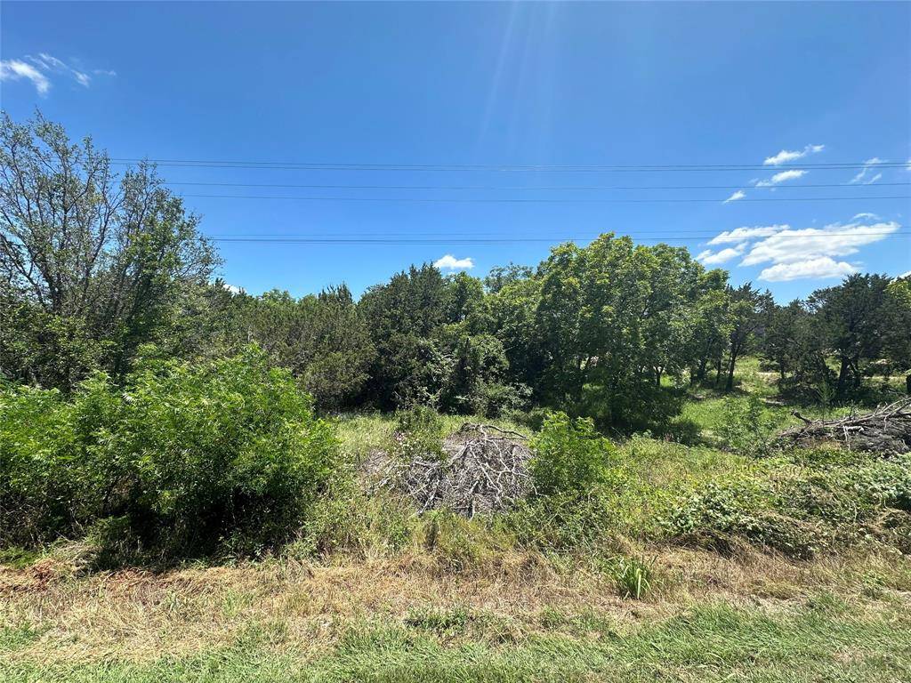 Bluff Dale, TX 76433,TBD Peninsula Drive