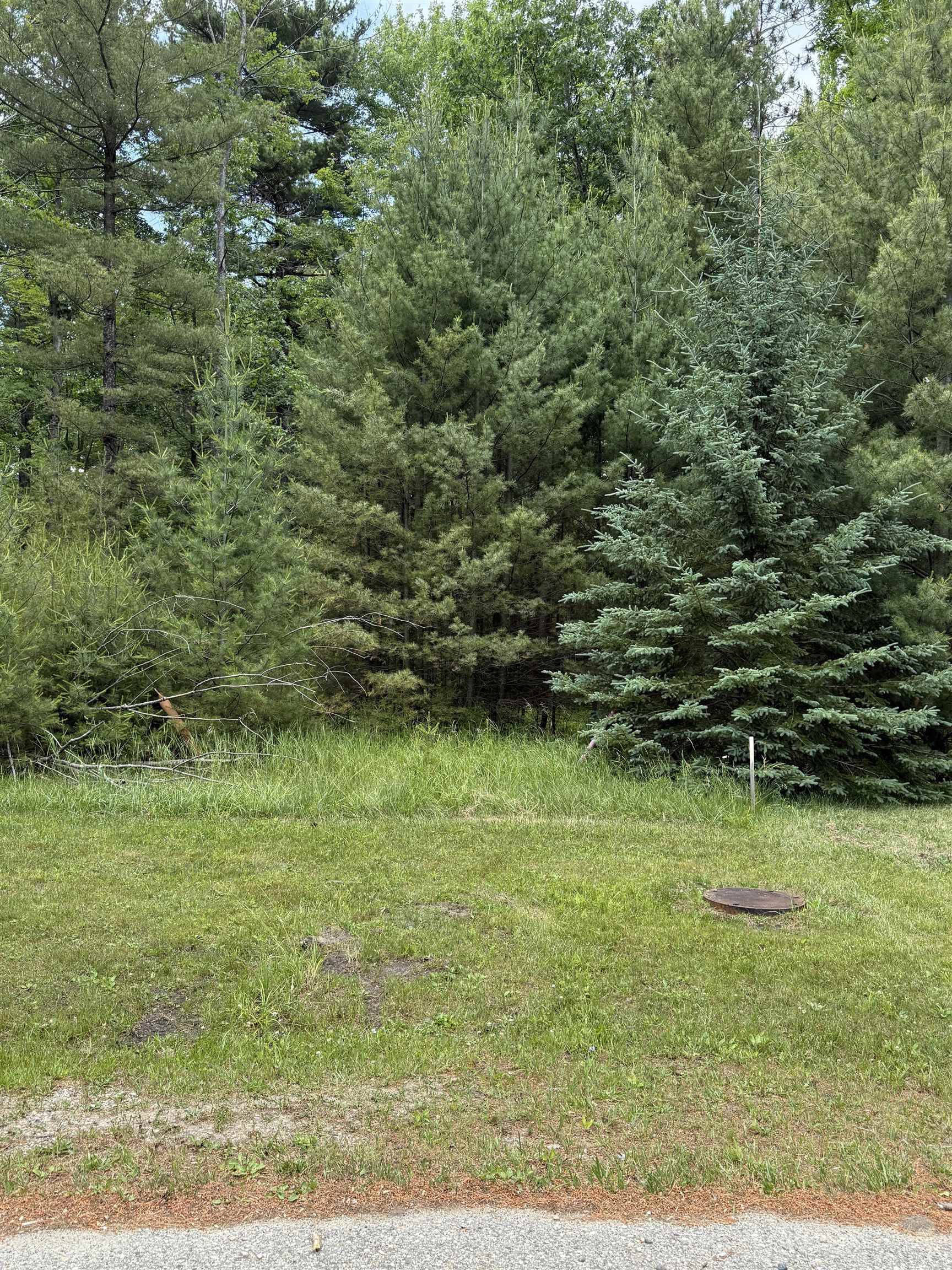 741 Manning LN, Baldwin Twp, MI 48730