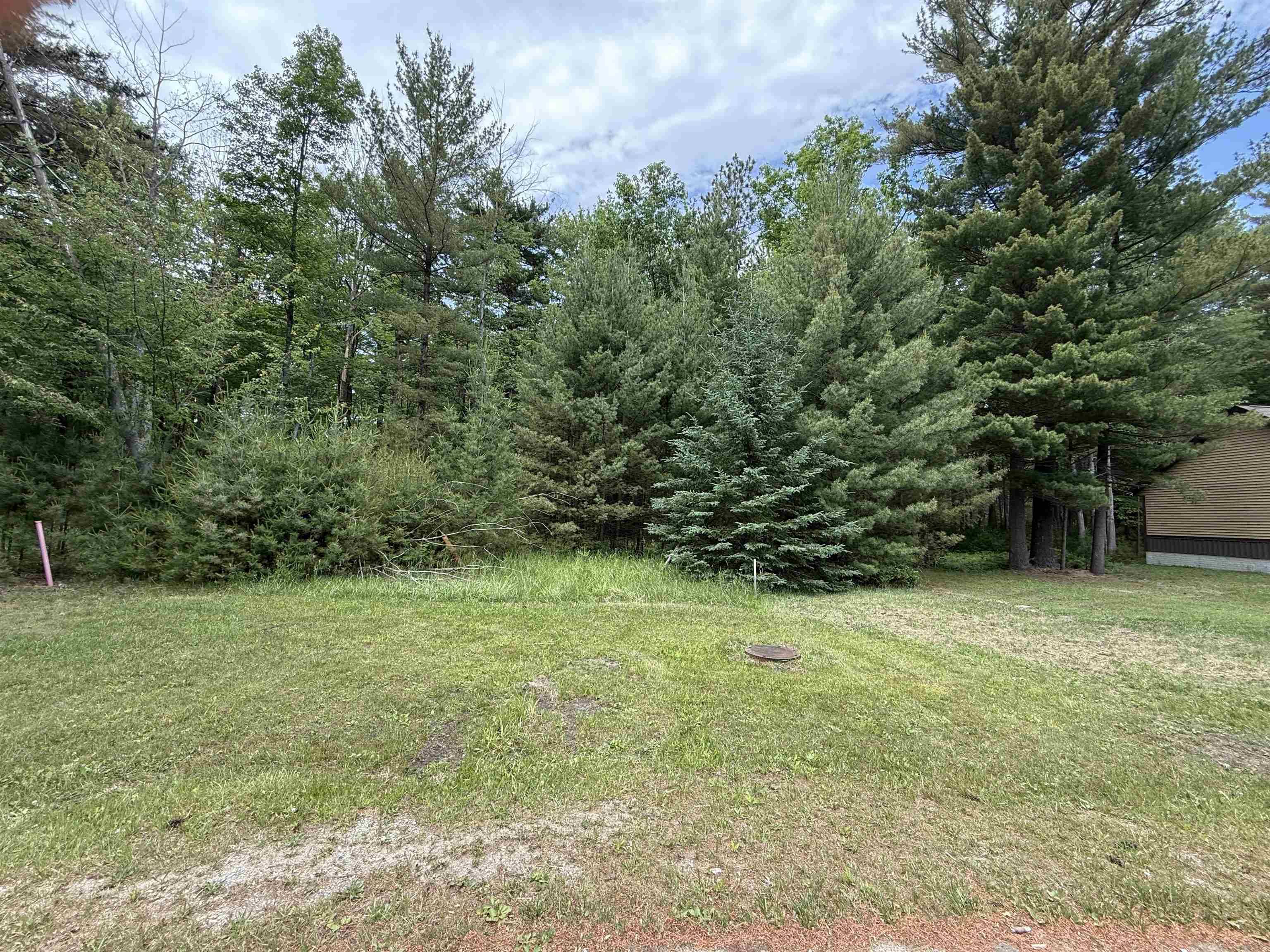 741 Manning LN, Baldwin Twp, MI 48730