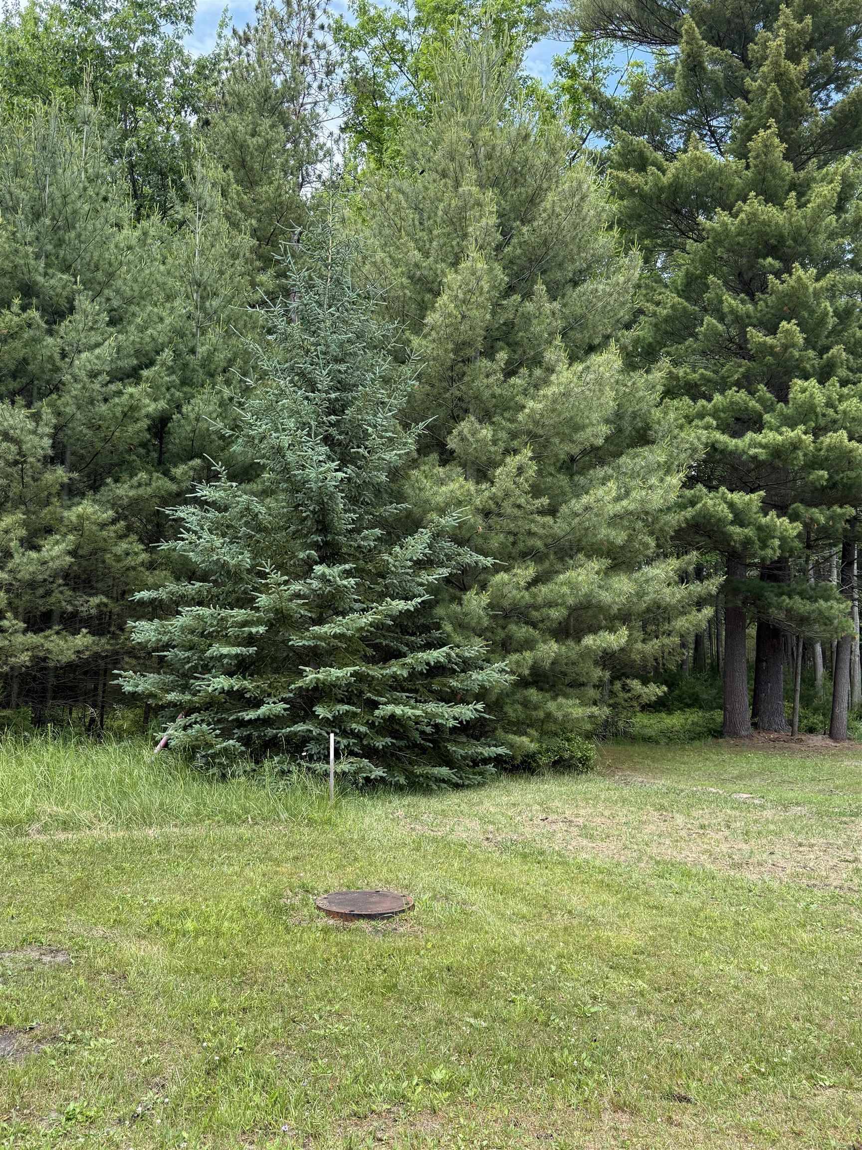 741 Manning LN, Baldwin Twp, MI 48730