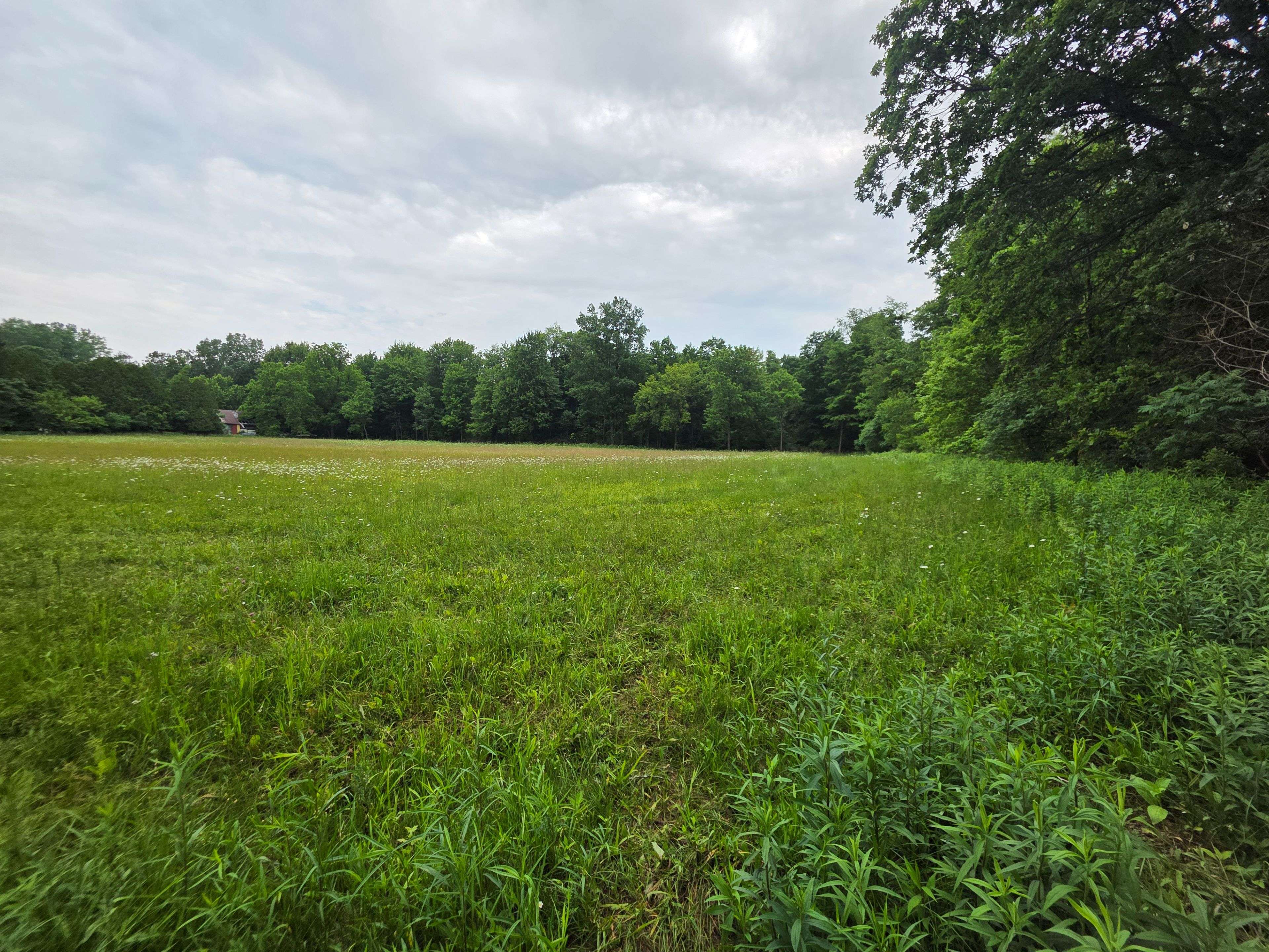 Chatham-kent, ON N0P 1C0,30101 Peter RD