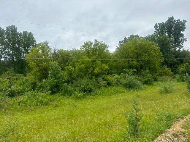Davison, MI 48423,10.63(+/-) Acres Lapeer RD