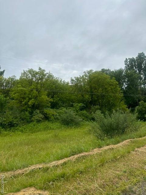 Davison, MI 48423,10.63(+/-) Acres Lapeer RD