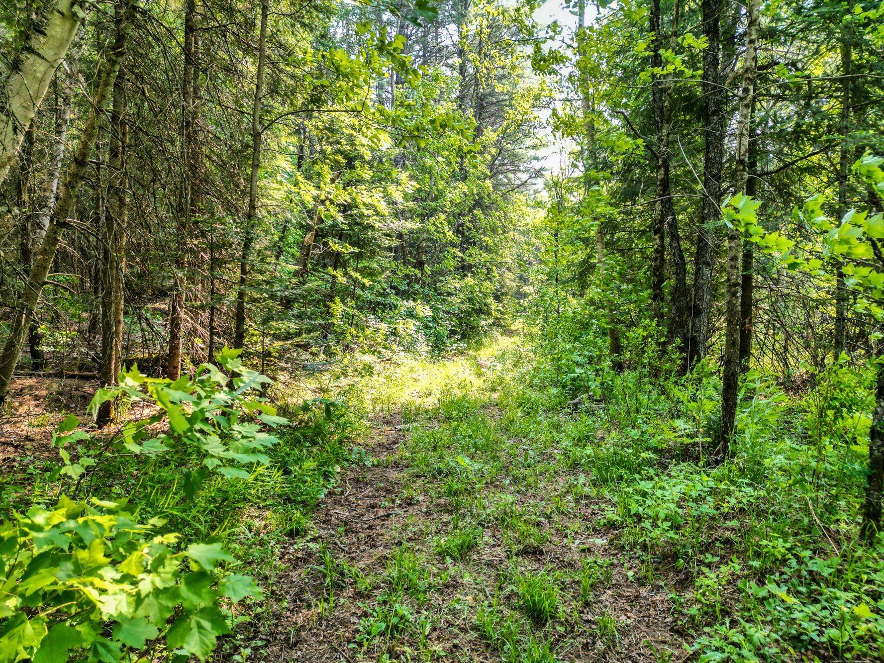 Bracebridge, ON P1L 1X1,LOT 2 Old Victoria RD