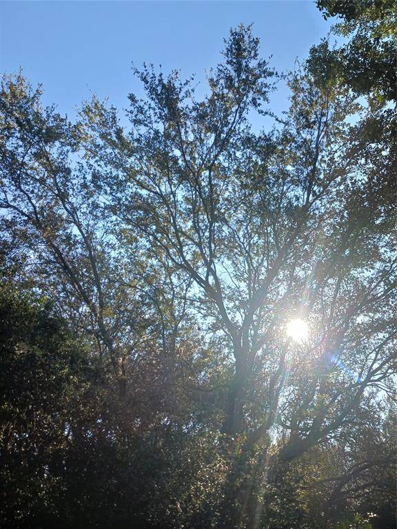 Ocala, FL 34471,0000 WINDINGHILL RD