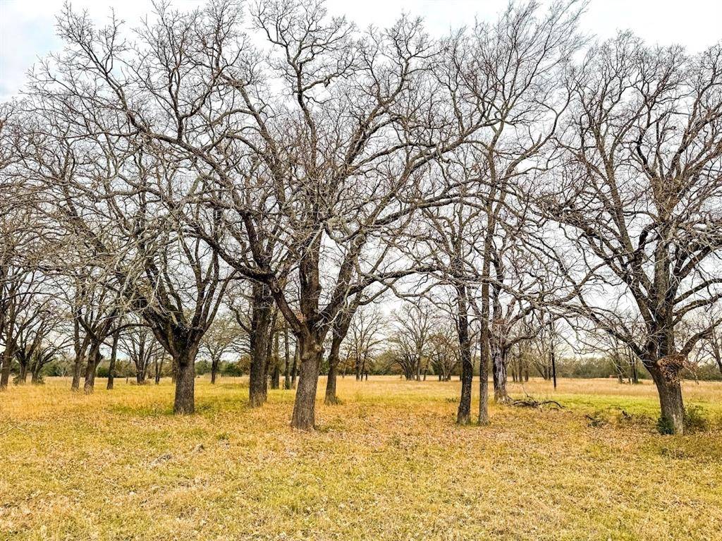 Groesbeck, TX 76642,0000 LCR 424