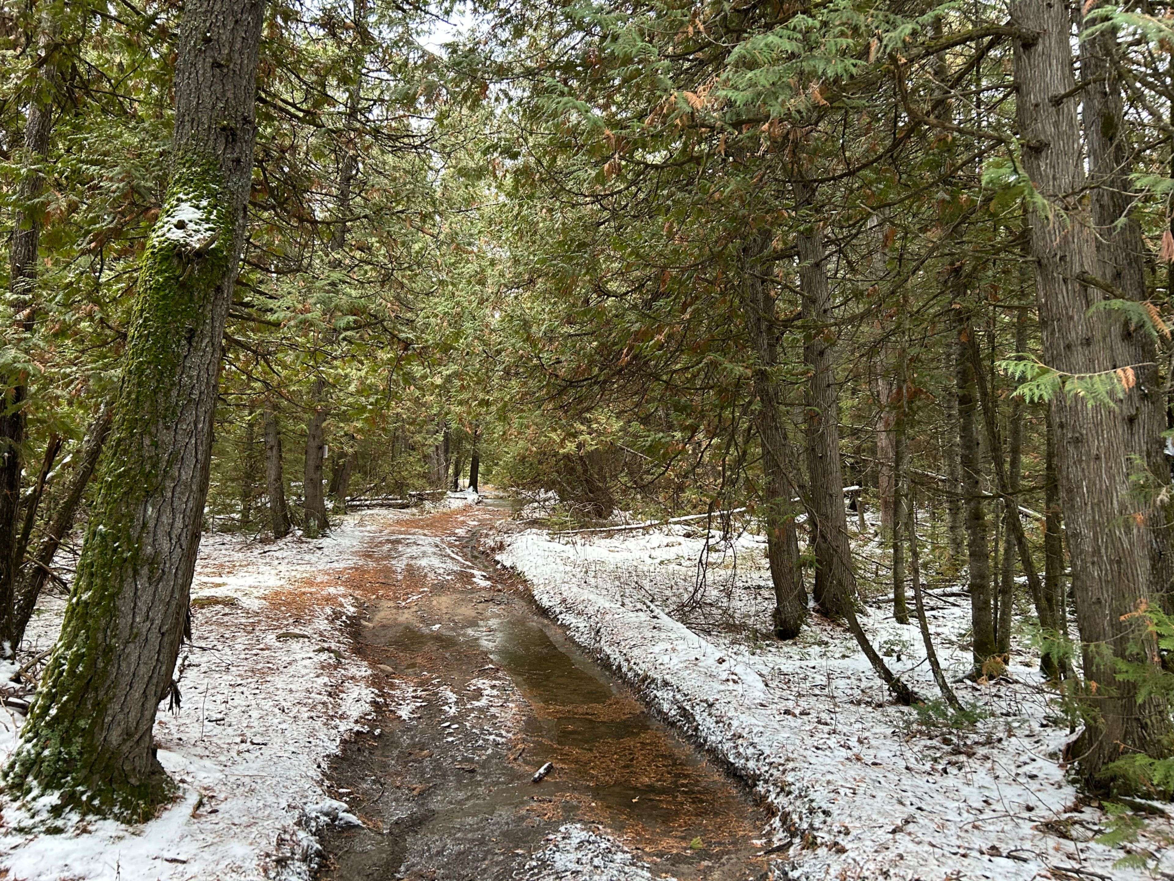 Mcnab/braeside, ON K7S 3G8,0 No Address RD