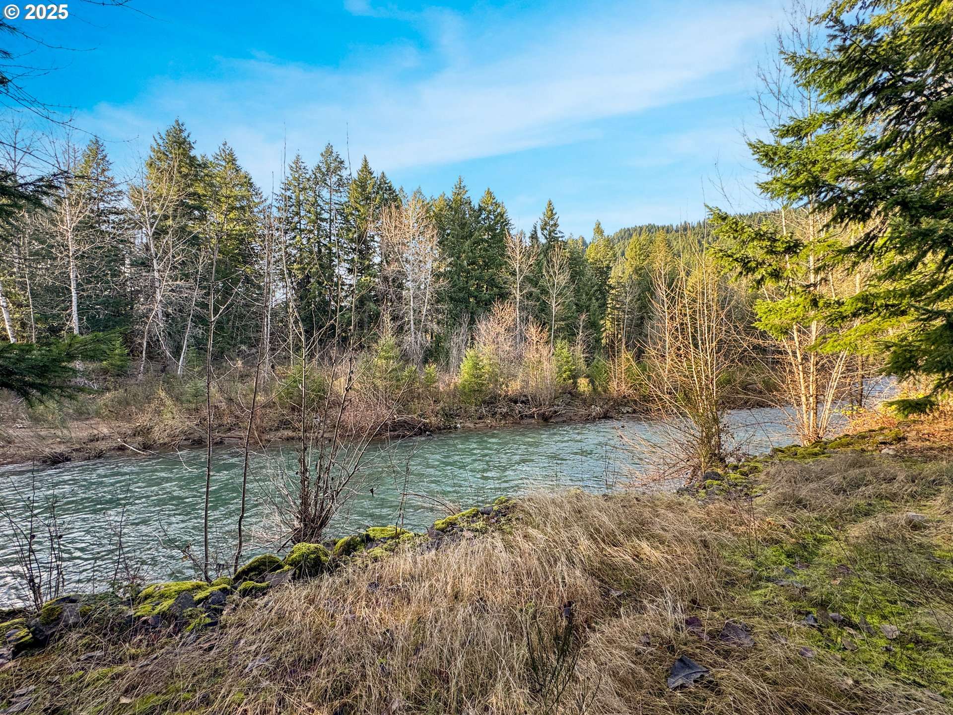 Randle, WA 98377,115 1ST AVE