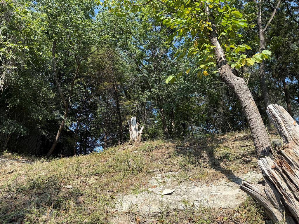 Granbury, TX 76049,1011 Hidden Cove Trail