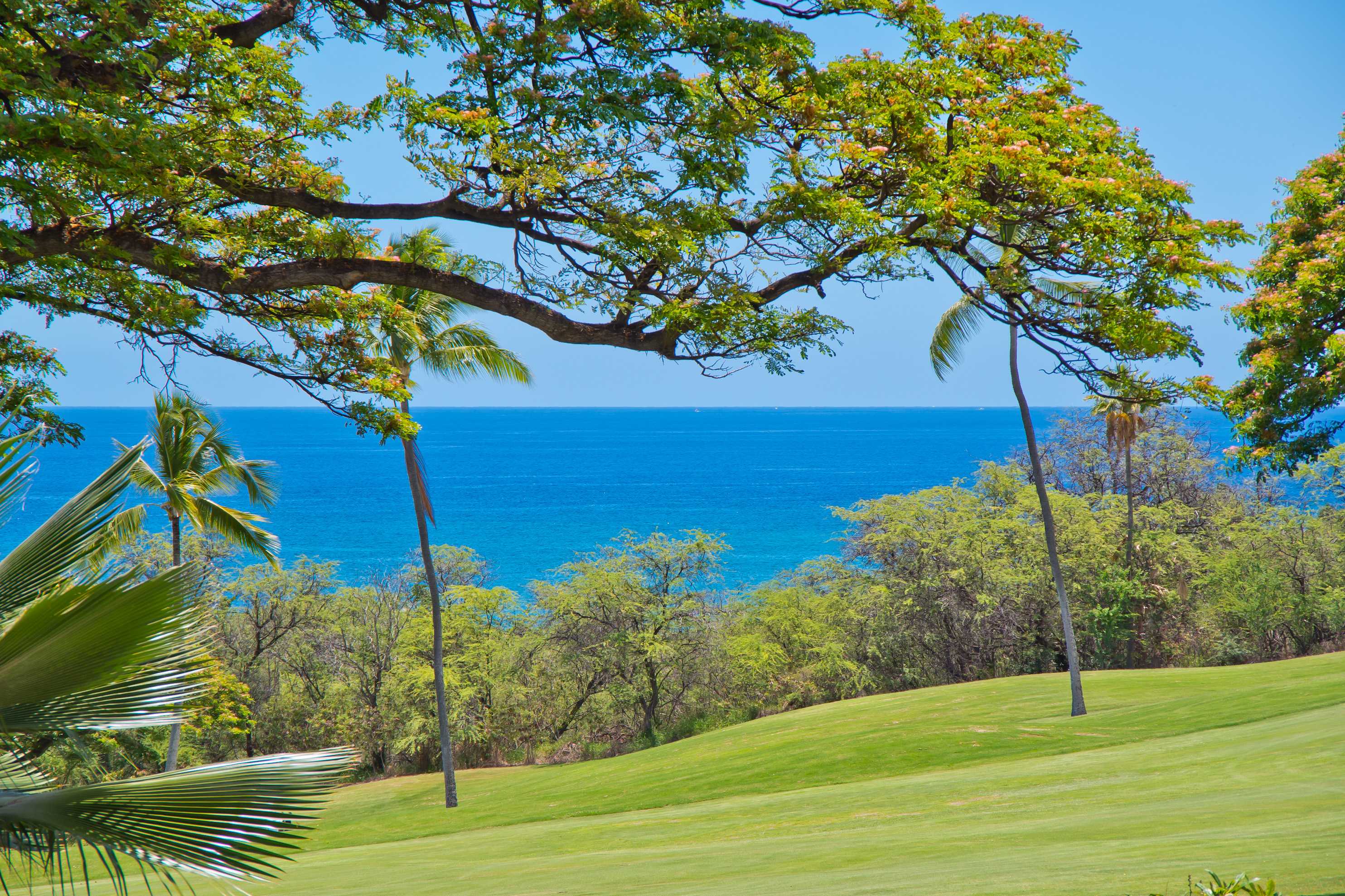 Kailua-kona, HI 96740,78-7030 ALII DR #405