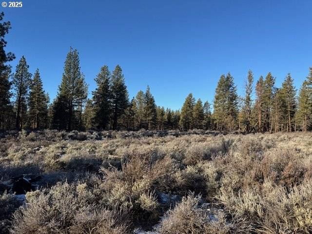 Sprague River, OR 97639,Klamath Forest DR