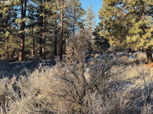 Sprague River, OR 97639,Klamath Forest DR