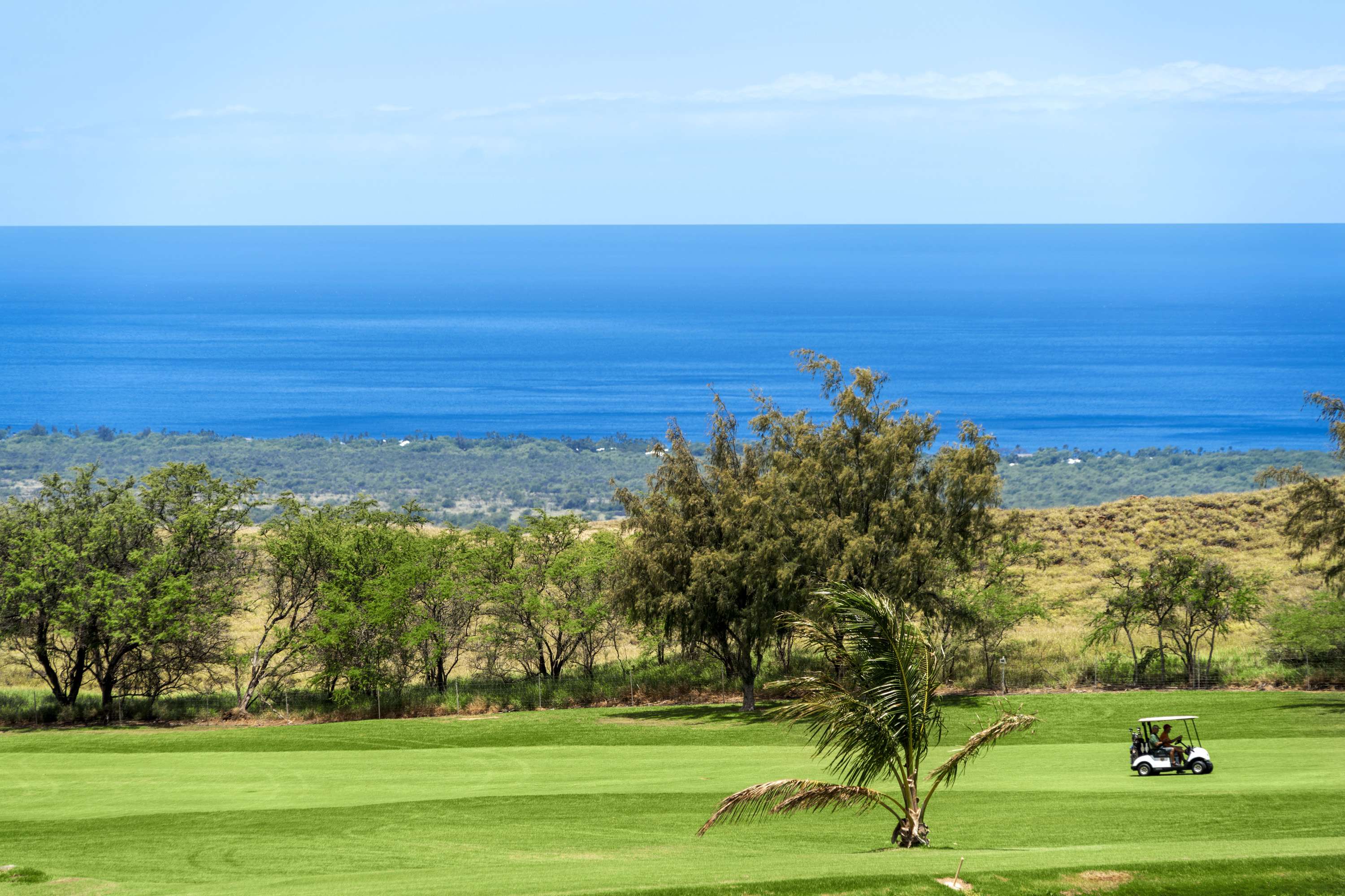 Waikoloa, HI 96738,68-1754 MELIA ST #A310