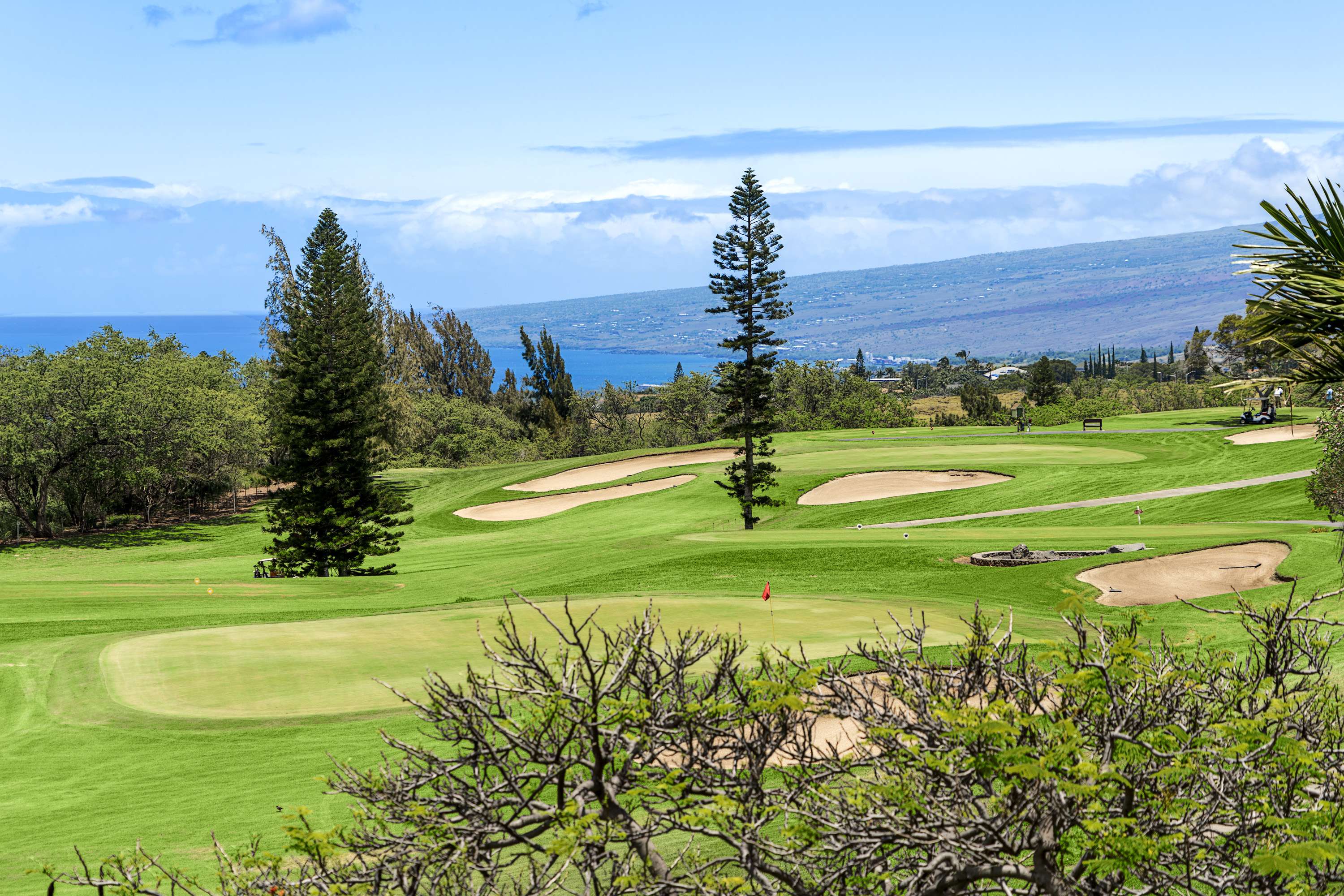 Waikoloa, HI 96738,68-1754 MELIA ST #A310