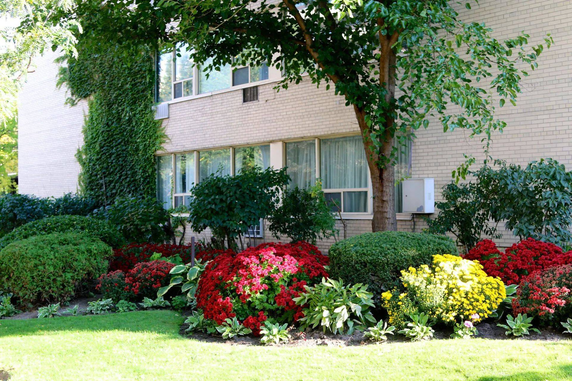 Toronto C04, ON M5N 1N3,650 Briar Hill AVE #802